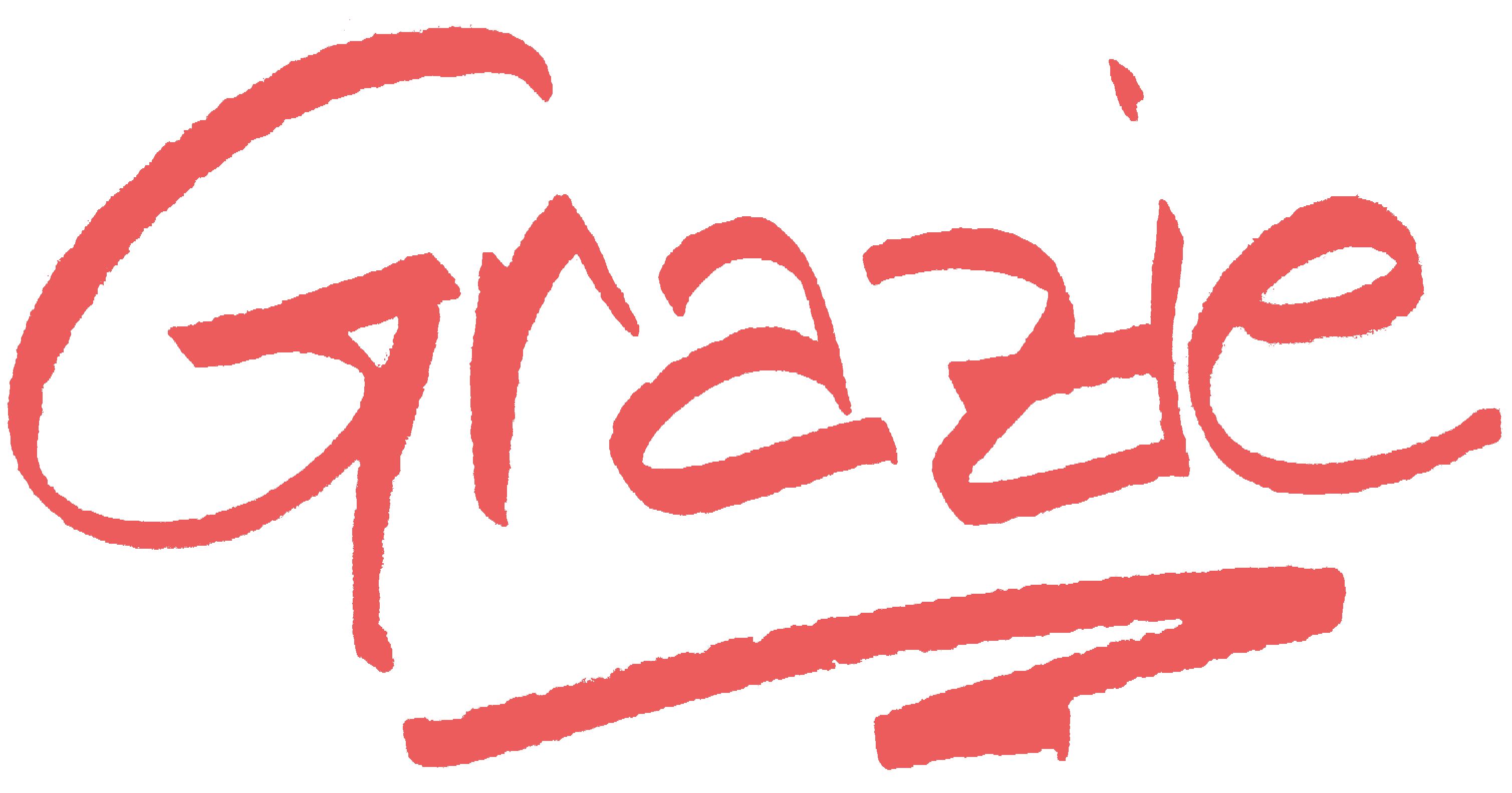 Ringraziamenti